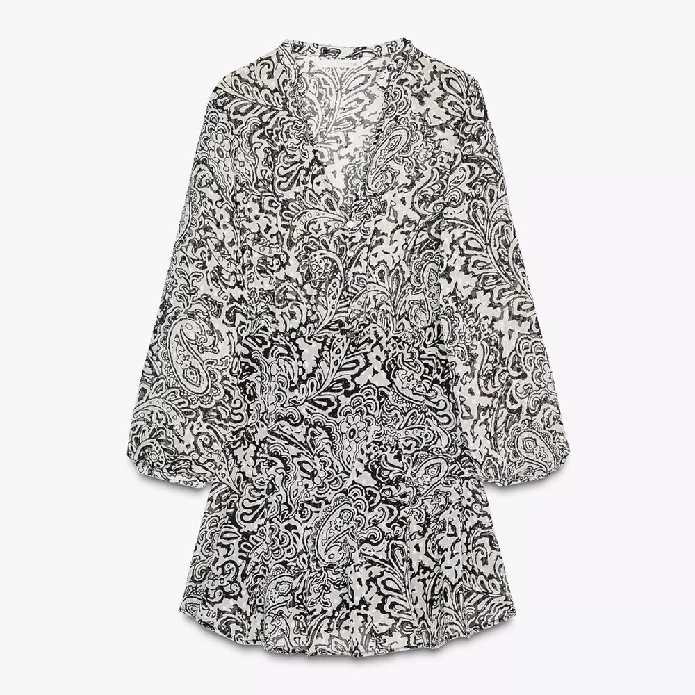 Zara Printed Swiss Dot Dress